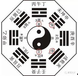 何老师爆料八卦图视频,八卦图视频背后的惊人真相